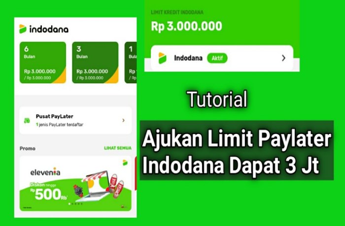 Ajukan Pinjaman di Indodana, Limit Lebih Besar, Cairnya Lebih Cepat terbaru
