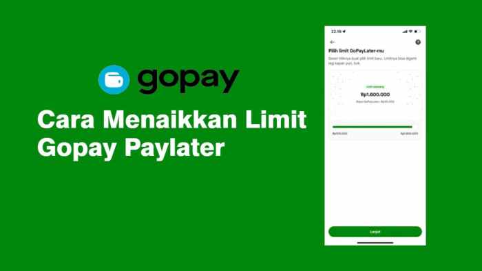 supaya paylater bertambah menaikkan hipoin