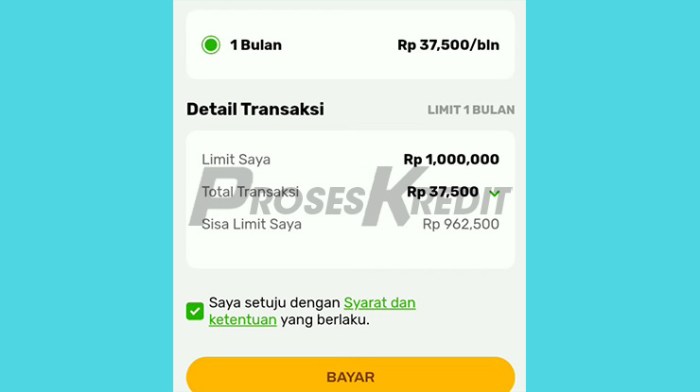Indodana PayLater, Beli Sekarang Bayar Bulan Depan