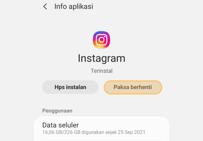 Cara Mengatasi Tidak Dapat Memuat Ulang Beranda Instagram