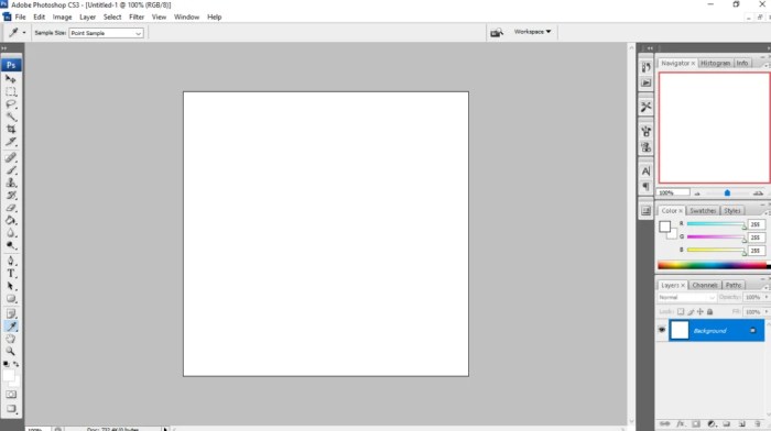 Cara Menyesuaikan Warna di Photoshop dengan Pallete Color terbaru