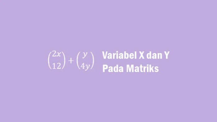 Cara Menentukan Nilai Variabel X Dan Y Pada Matriks